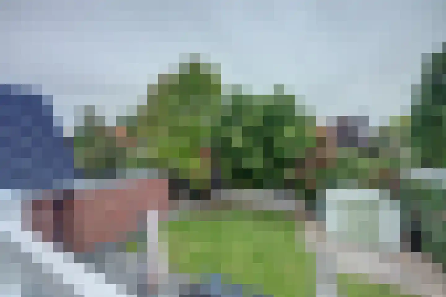 Zwanebloem 47 Hendrik-Ido-Ambacht thumbnail 40