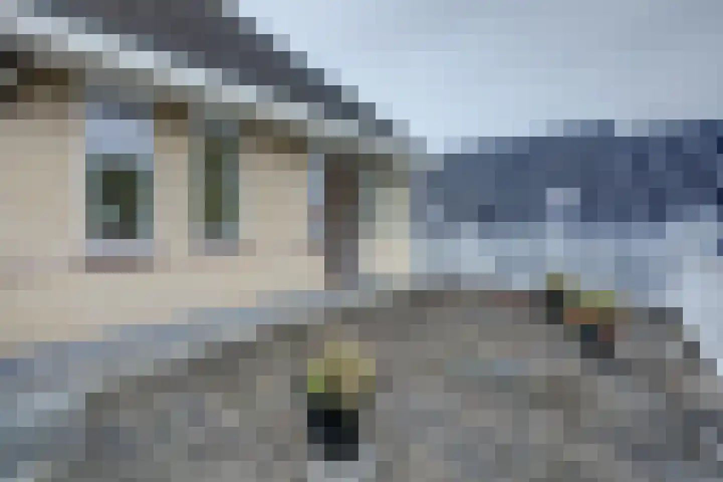 Zwanebloem 47 Hendrik-Ido-Ambacht thumbnail 41