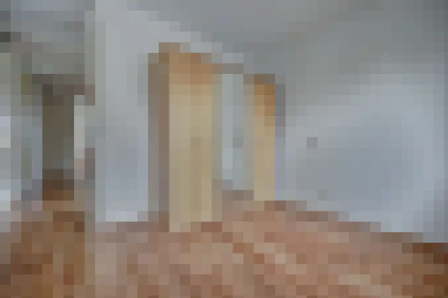 Zwanebloem 47 Hendrik-Ido-Ambacht thumbnail 42