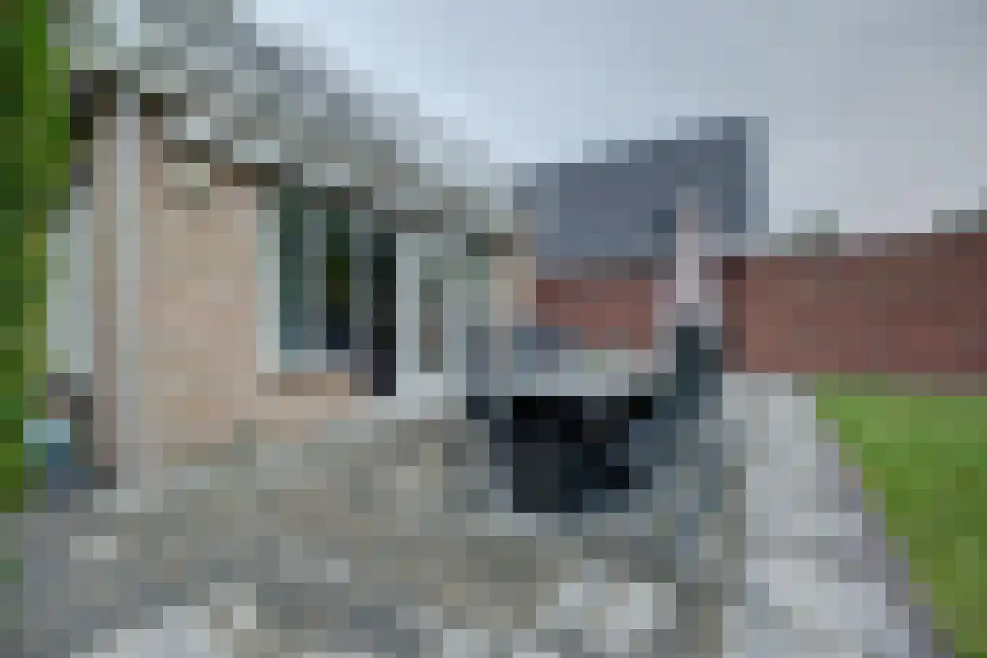 Zwanebloem 47 Hendrik-Ido-Ambacht thumbnail 61