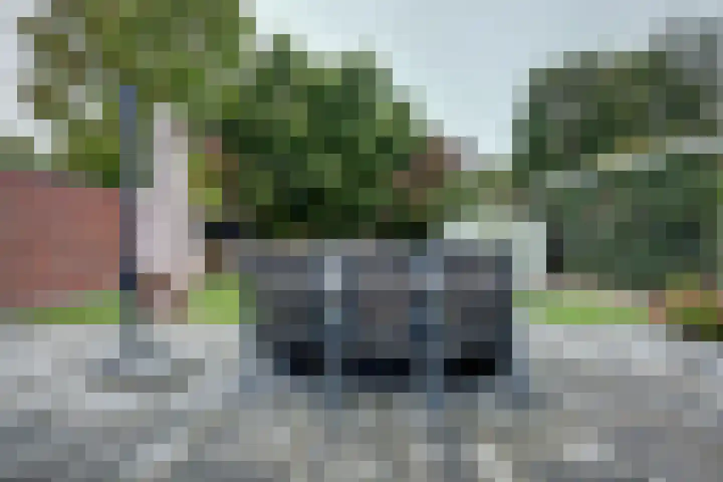 Zwanebloem 47 Hendrik-Ido-Ambacht thumbnail 63