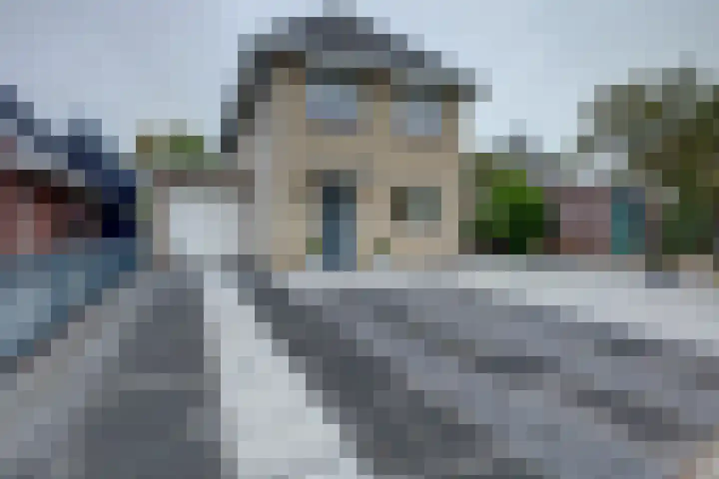 Zwanebloem 47 Hendrik-Ido-Ambacht thumbnail 68