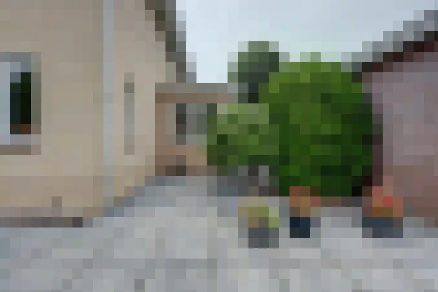 Zwanebloem 47 Hendrik-Ido-Ambacht thumbnail 70