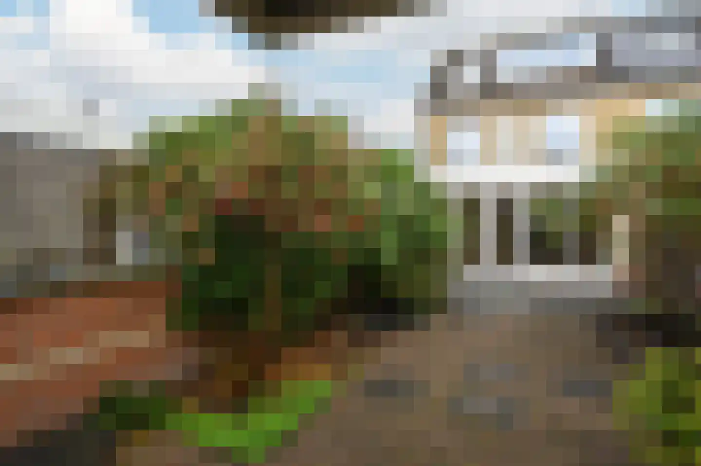 Zwanebloem 48 Kockengen thumbnail 24