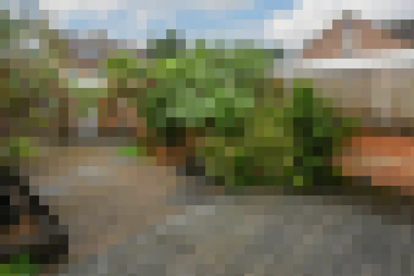 Zwanebloem 48 Kockengen thumbnail 25
