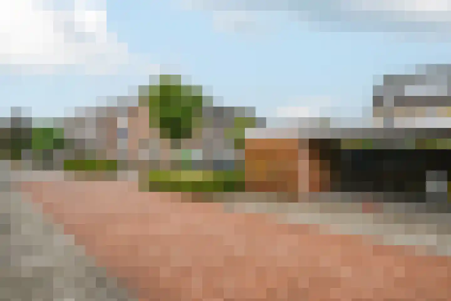 Zwanebloem 48 Kockengen thumbnail 28