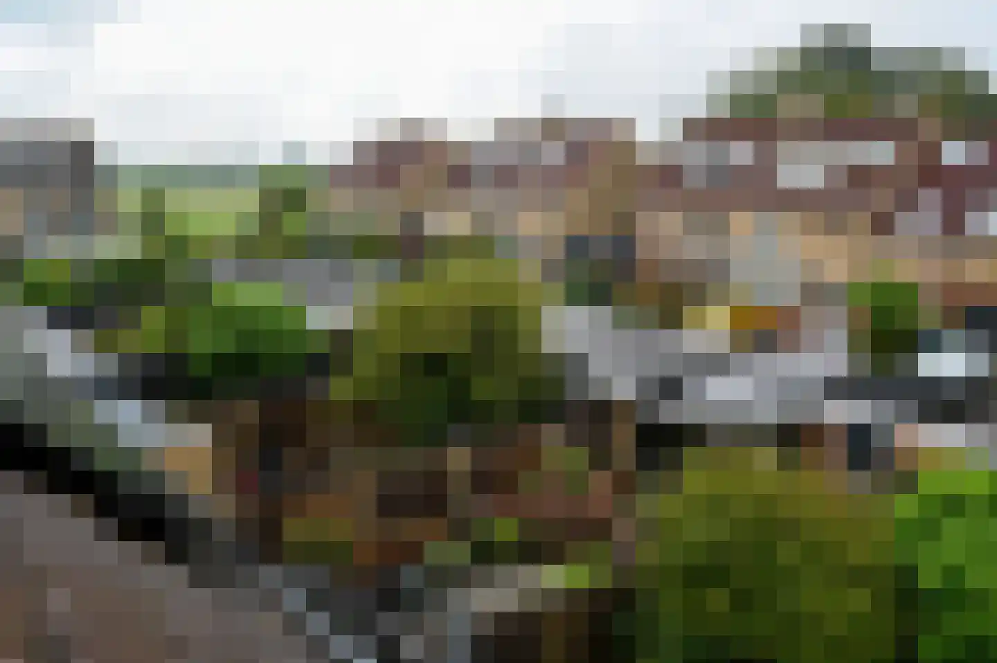 Zwanebloem 48 Kockengen thumbnail 29