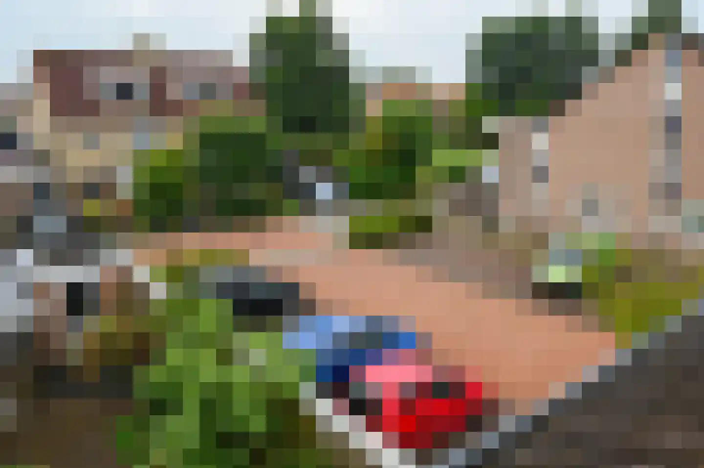 Zwanebloem 48 Kockengen thumbnail 30