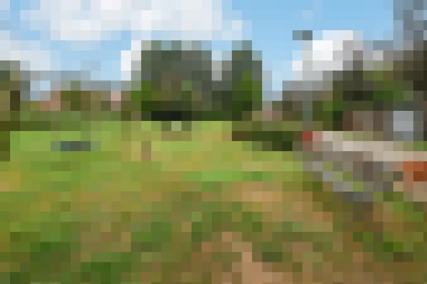 Zwanebloem 48 Kockengen thumbnail 32