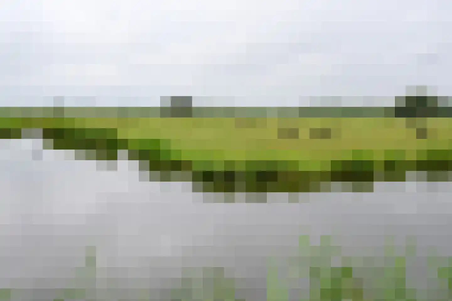 Zwanebloem 48 Kockengen thumbnail 33