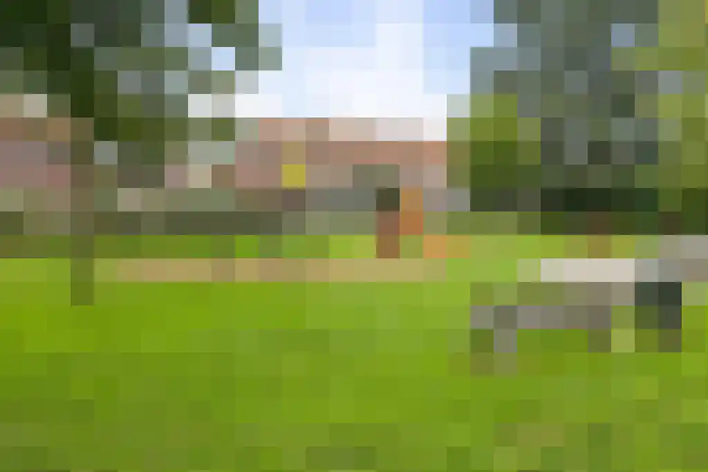 Zwanebloem 48 Kockengen thumbnail 4