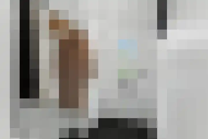Zwanebloem 53 Alblasserdam thumbnail 17