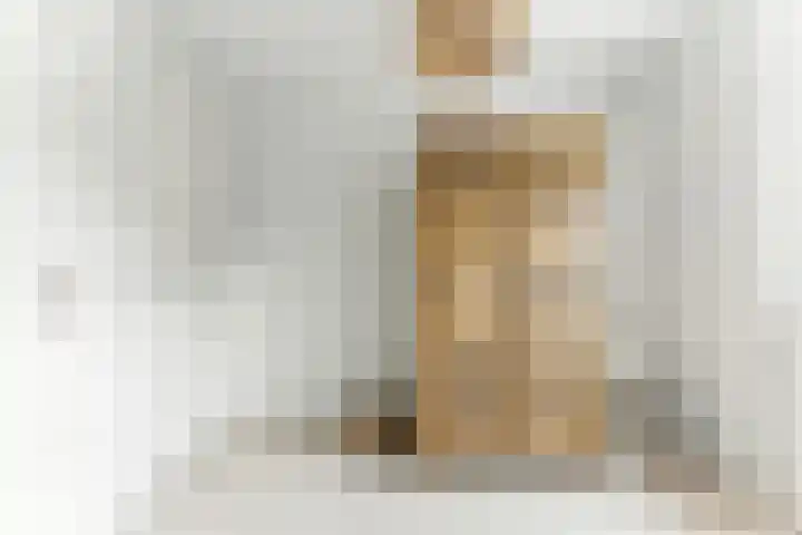 Zwanebloem 53 Alblasserdam thumbnail 21