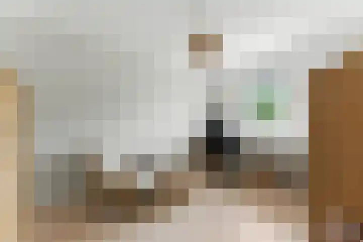 Zwanebloem 53 Alblasserdam thumbnail 23