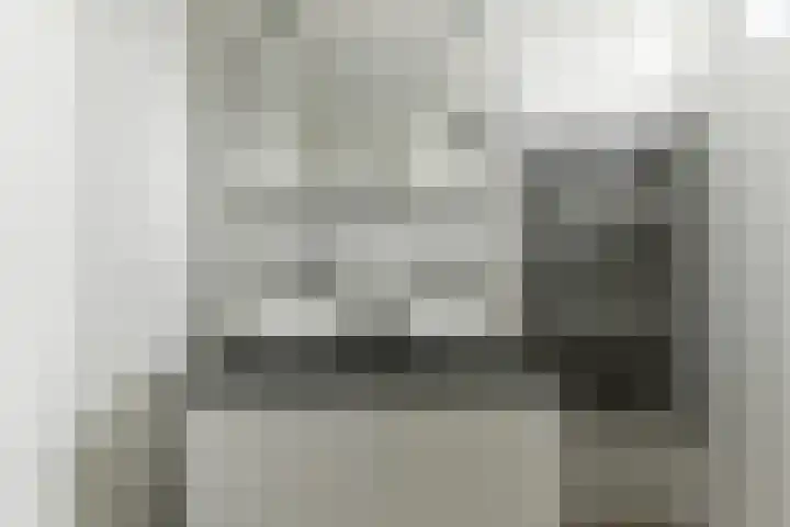 Zwanebloem 53 Alblasserdam thumbnail 27