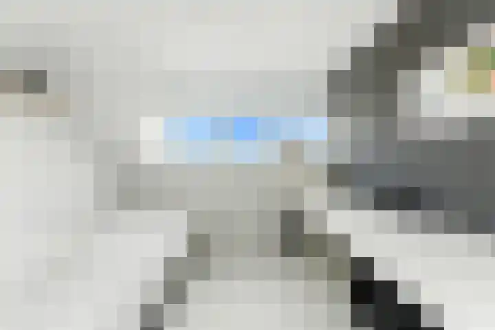Zwanebloem 53 Alblasserdam thumbnail 30