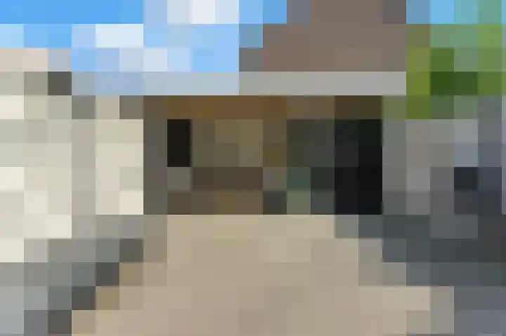 Zwanebloem 53 Alblasserdam thumbnail 36