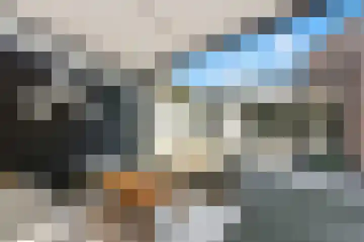 Zwanebloem 53 Alblasserdam thumbnail 4