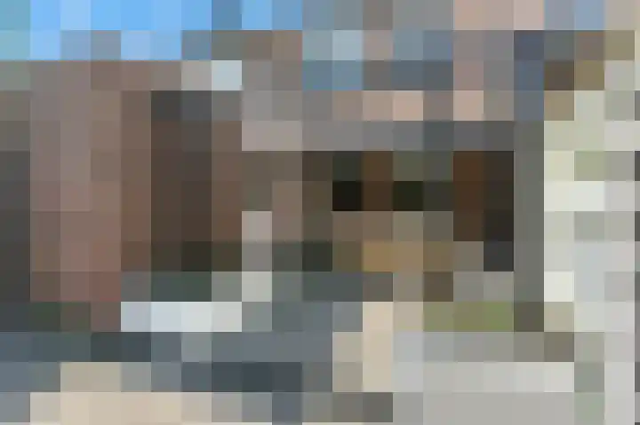 Zwanebloem 53 Alblasserdam thumbnail 41