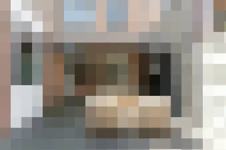 Zwanebloem 53 Alblasserdam thumbnail 42