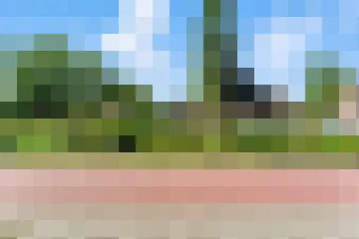 Zwanebloem 53 Alblasserdam thumbnail 45
