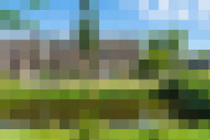 Zwanebloem 53 Alblasserdam thumbnail 47