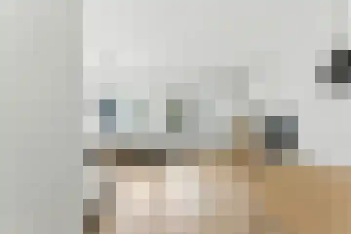 Zwanebloem 53 Alblasserdam thumbnail 5