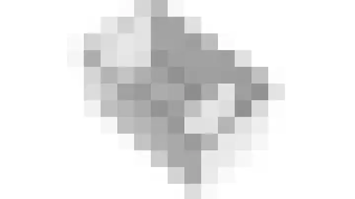Zwanebloem 53 Alblasserdam thumbnail 54
