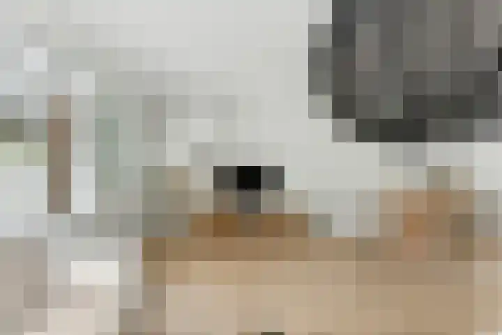 Zwanebloem 53 Alblasserdam thumbnail 9