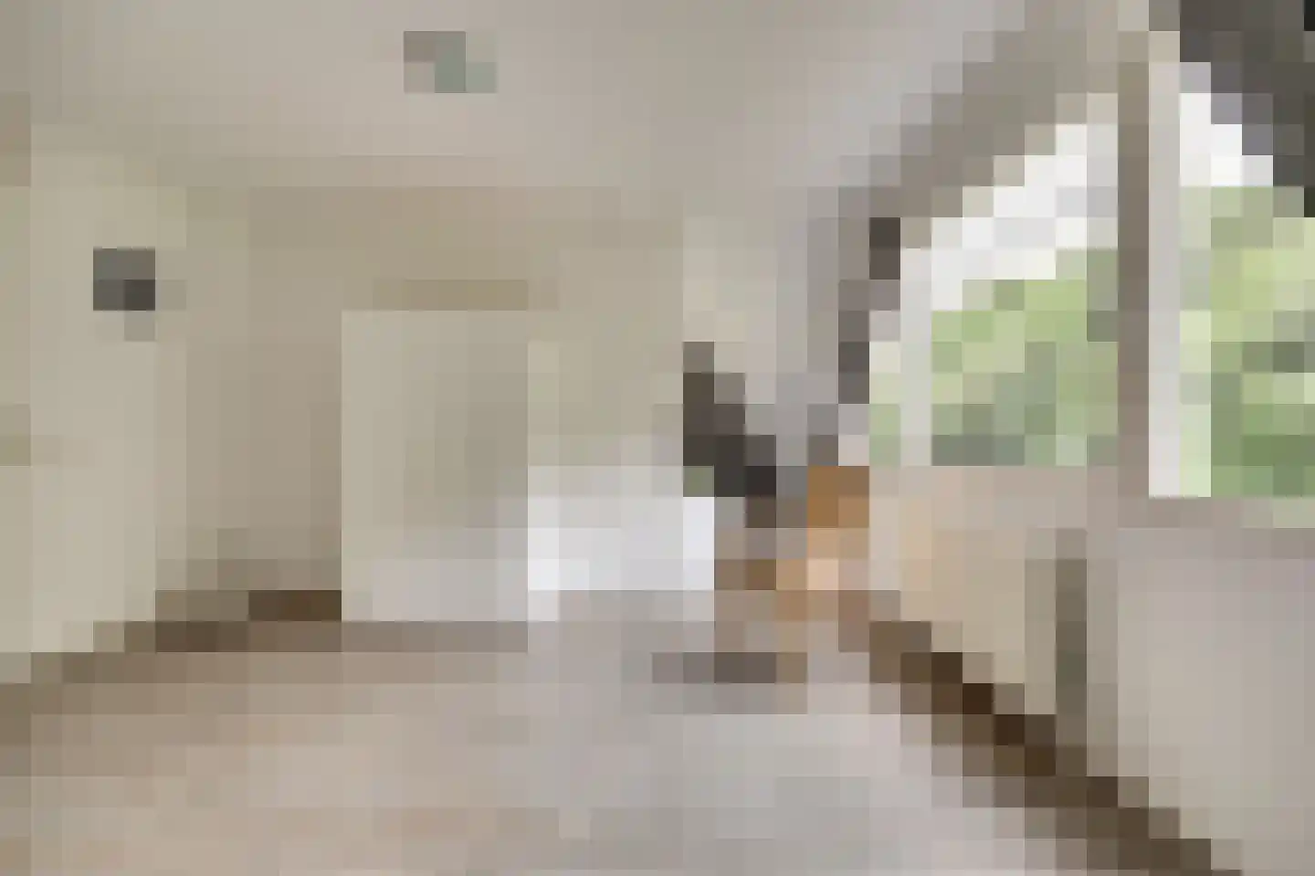Zwanebloem 62 Swifterbant thumbnail 32