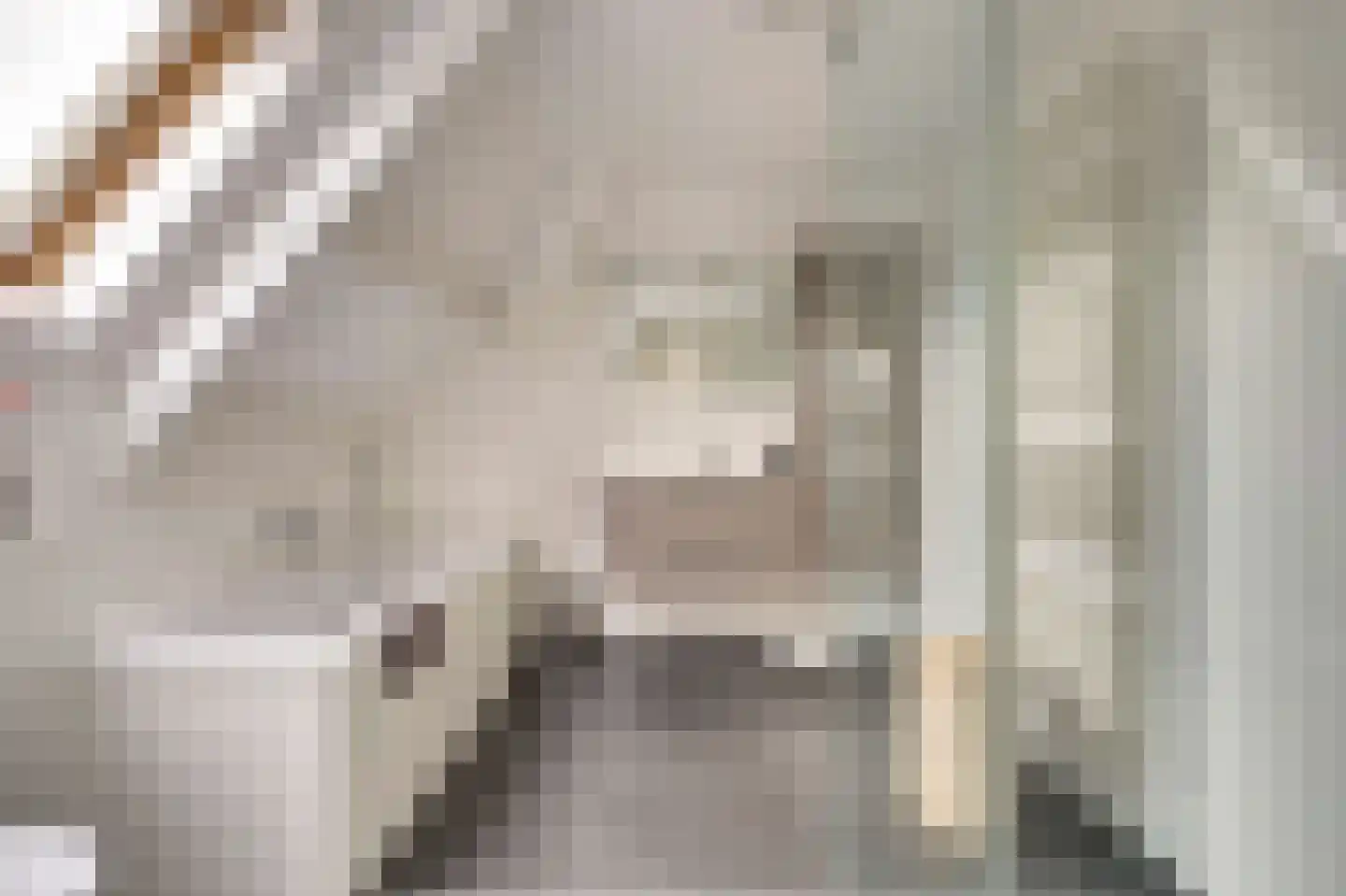 Zwanebloem 62 Swifterbant thumbnail 34