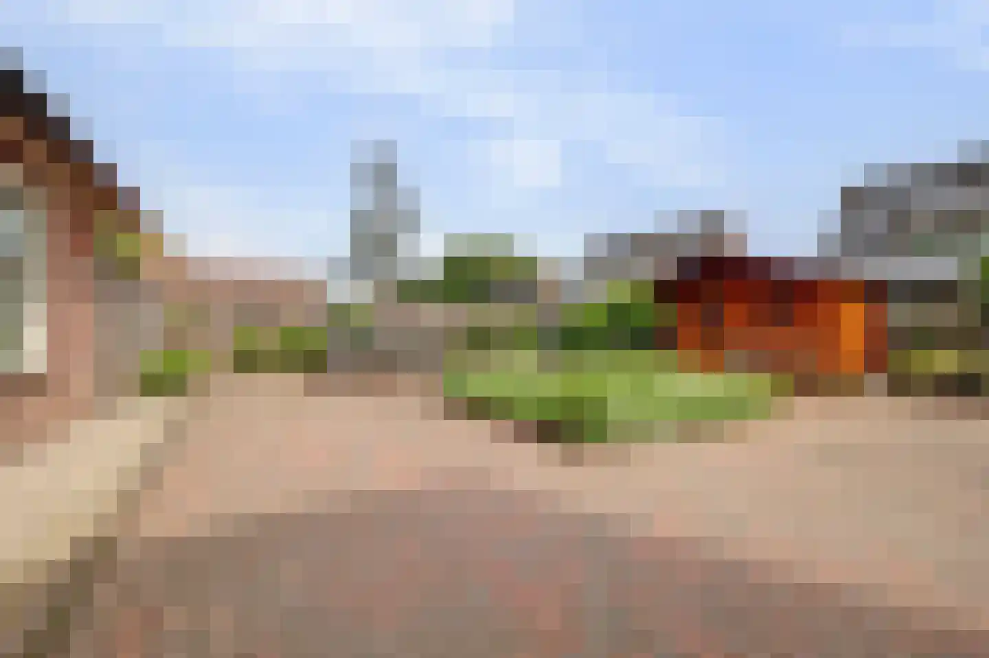 Zwanebloem 62 Swifterbant thumbnail 36