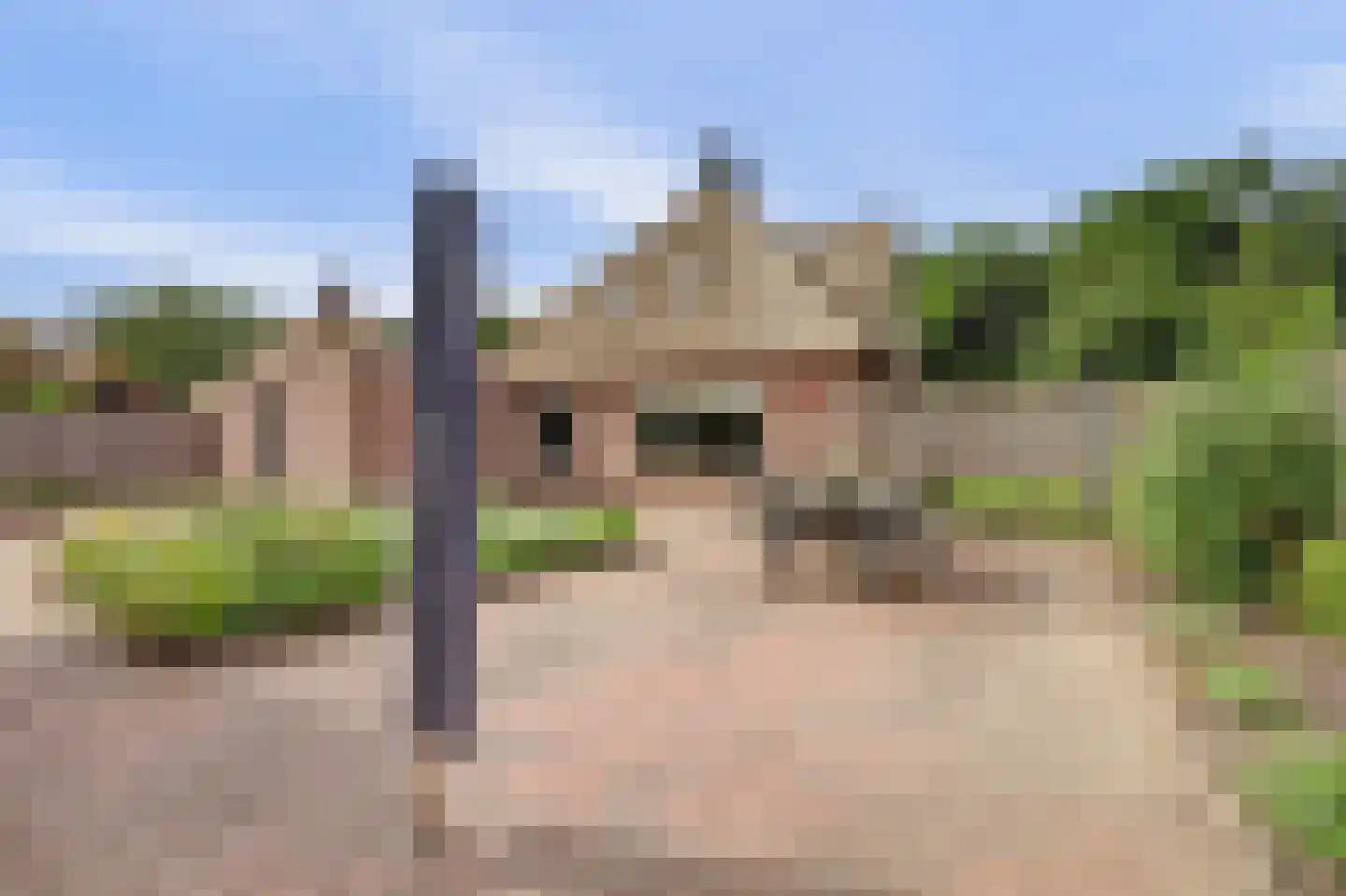 Zwanebloem 62 Swifterbant thumbnail 38