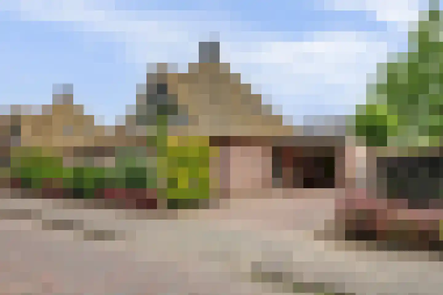 Zwanebloem 62 Swifterbant thumbnail 4