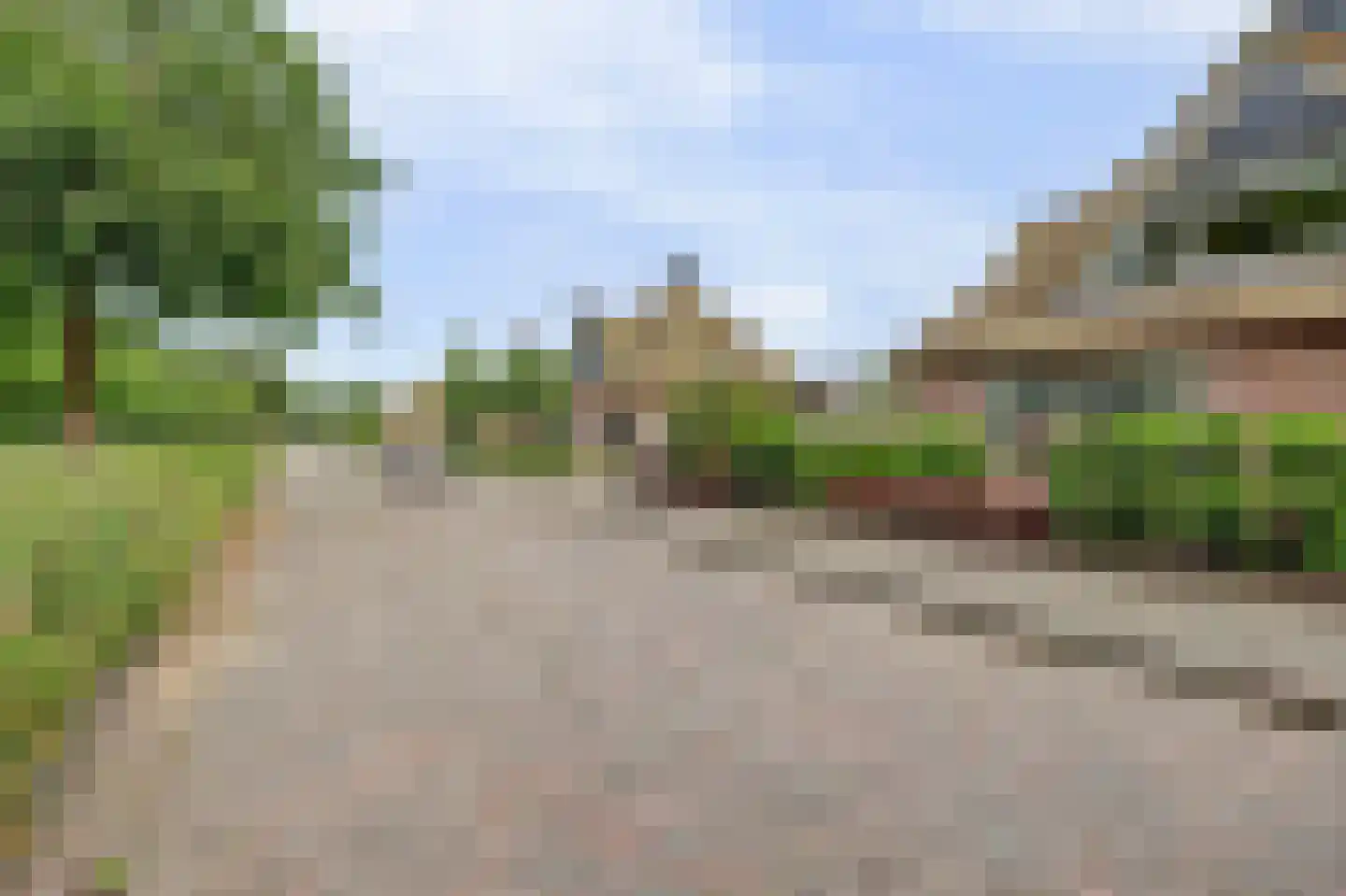 Zwanebloem 62 Swifterbant thumbnail 41