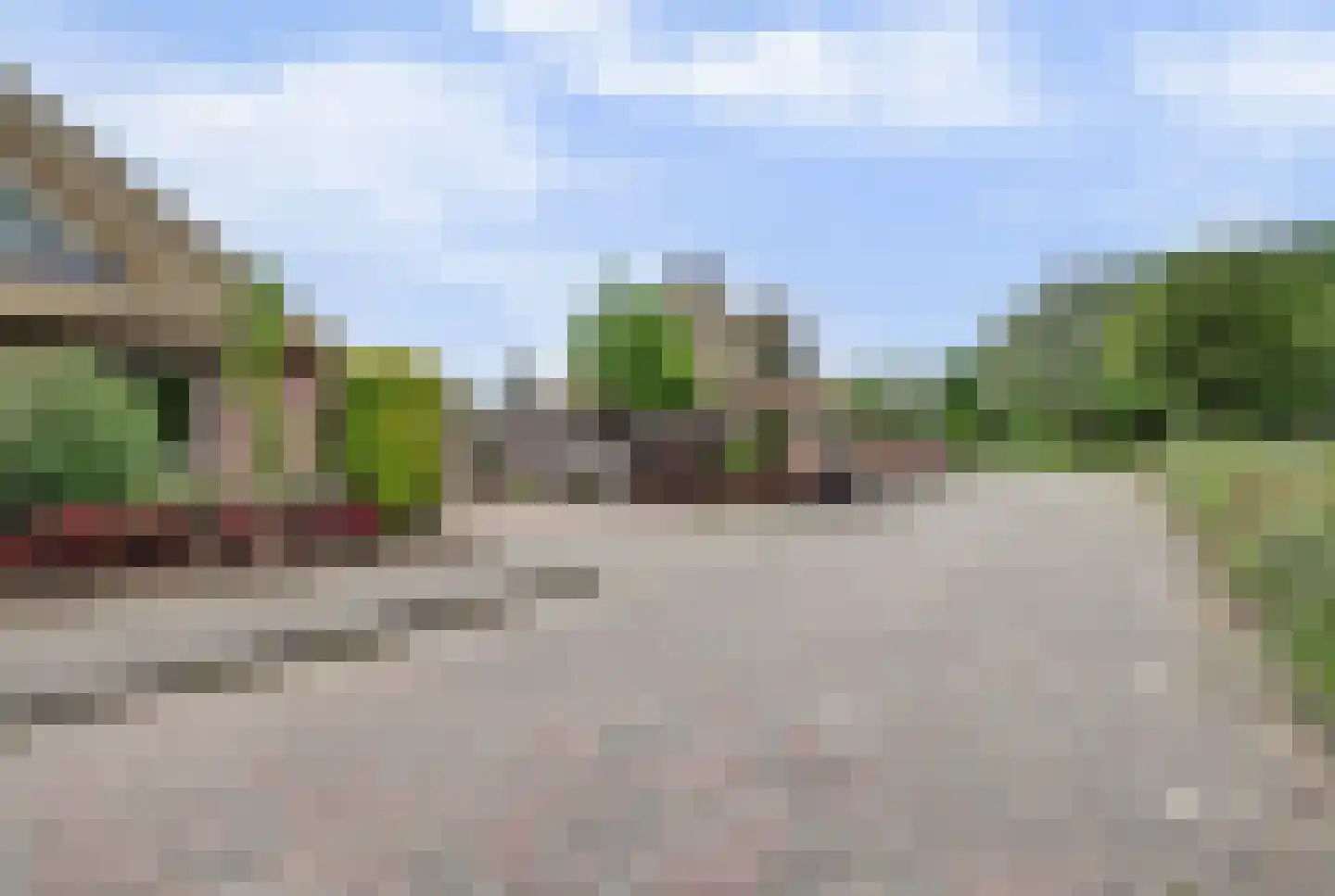 Zwanebloem 62 Swifterbant thumbnail 42