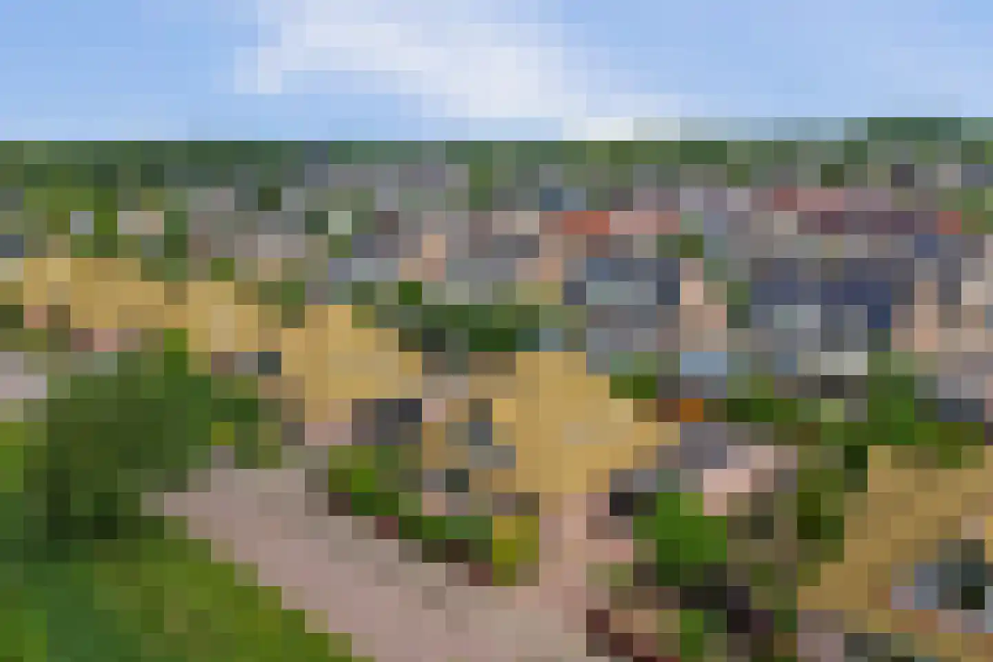Zwanebloem 62 Swifterbant thumbnail 43