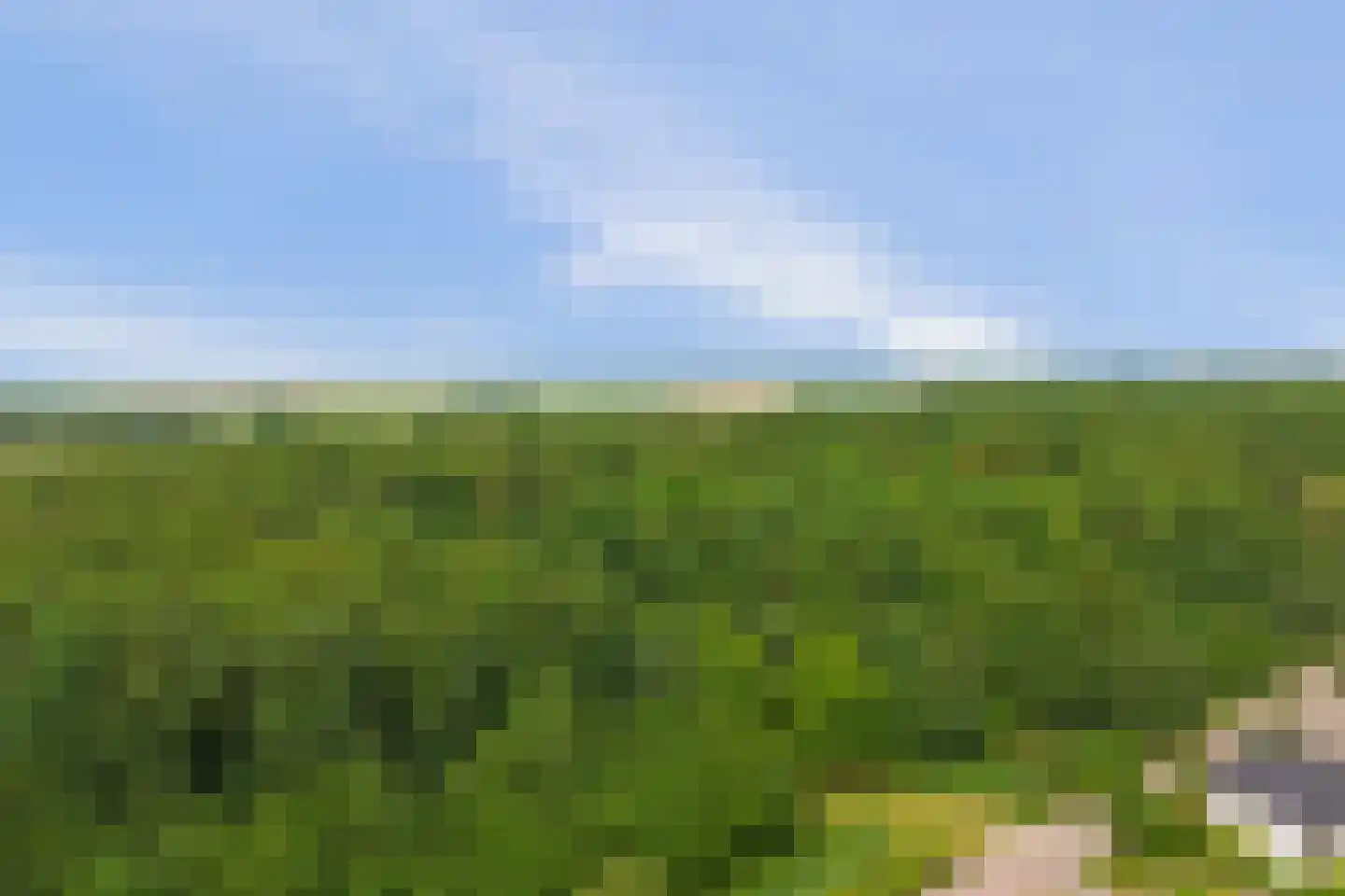 Zwanebloem 62 Swifterbant thumbnail 44