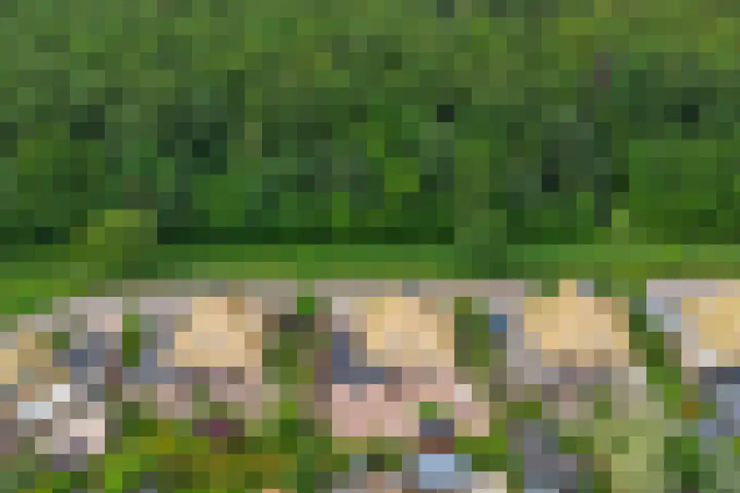 Zwanebloem 62 Swifterbant thumbnail 46