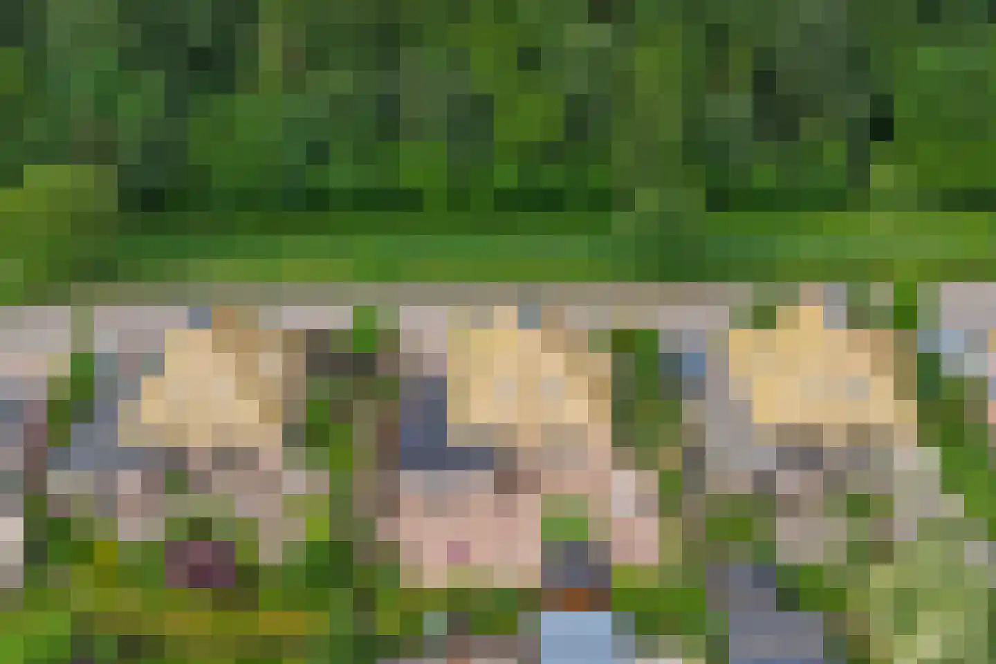 Zwanebloem 62 Swifterbant thumbnail 47