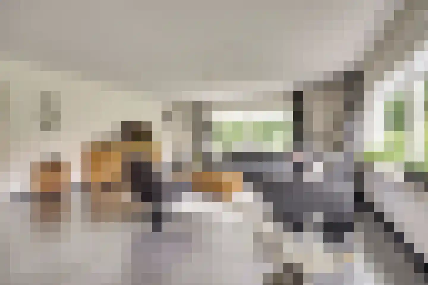 Zwanebloem 62 Swifterbant thumbnail 5