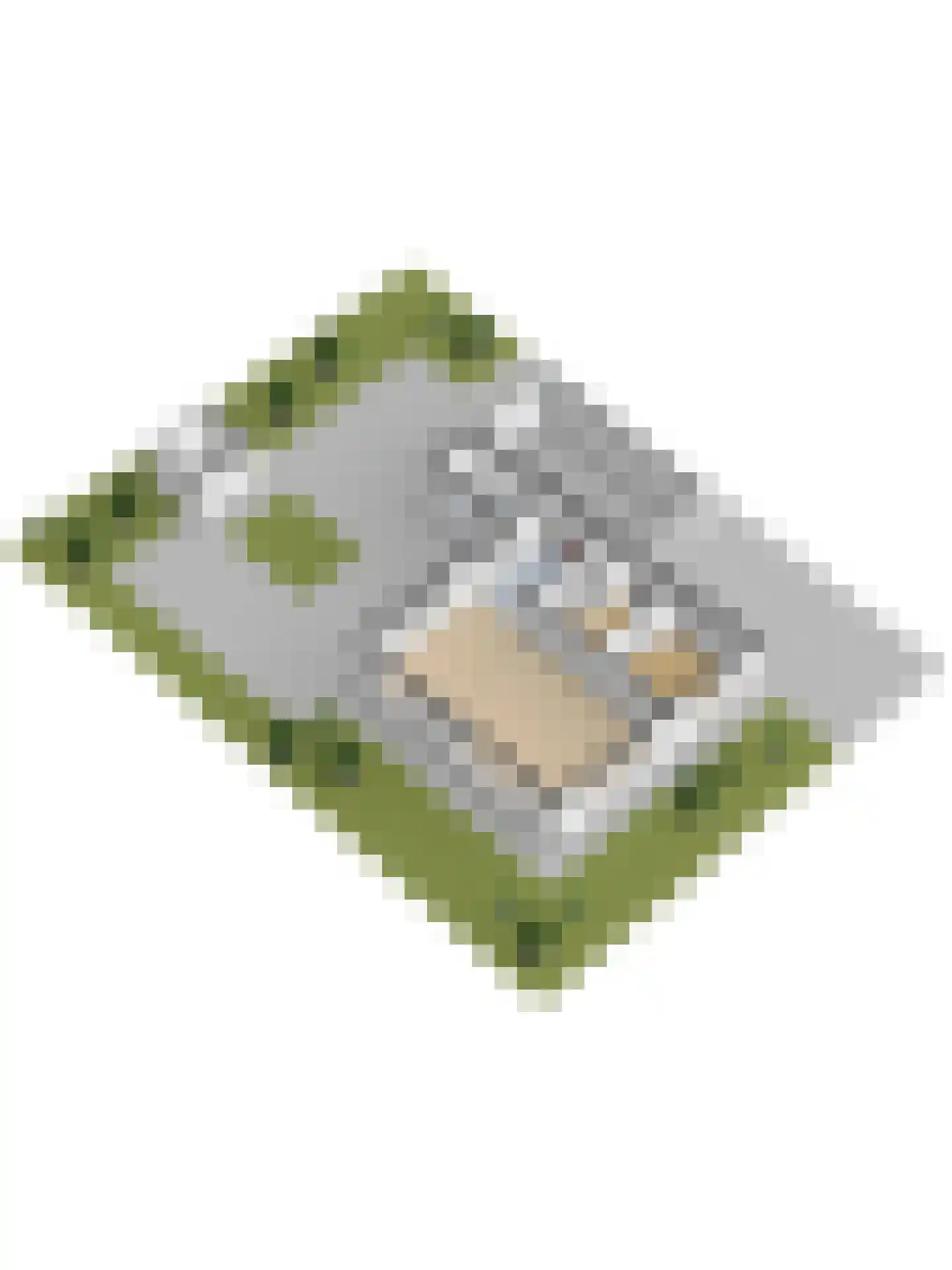Zwanebloem 62 Swifterbant thumbnail 53