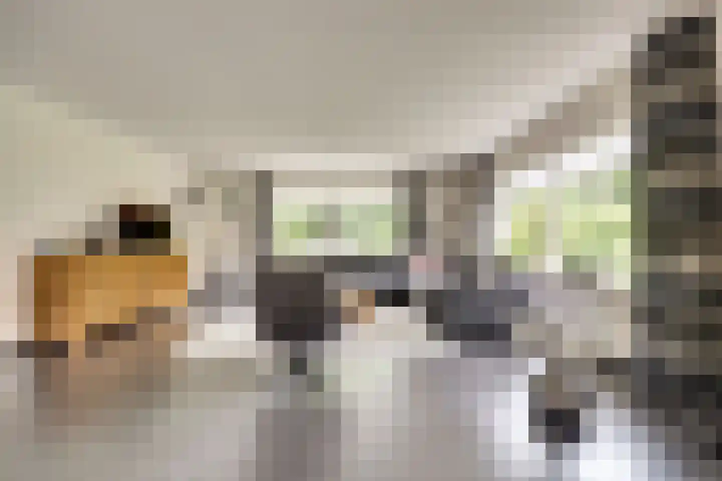 Zwanebloem 62 Swifterbant thumbnail 6