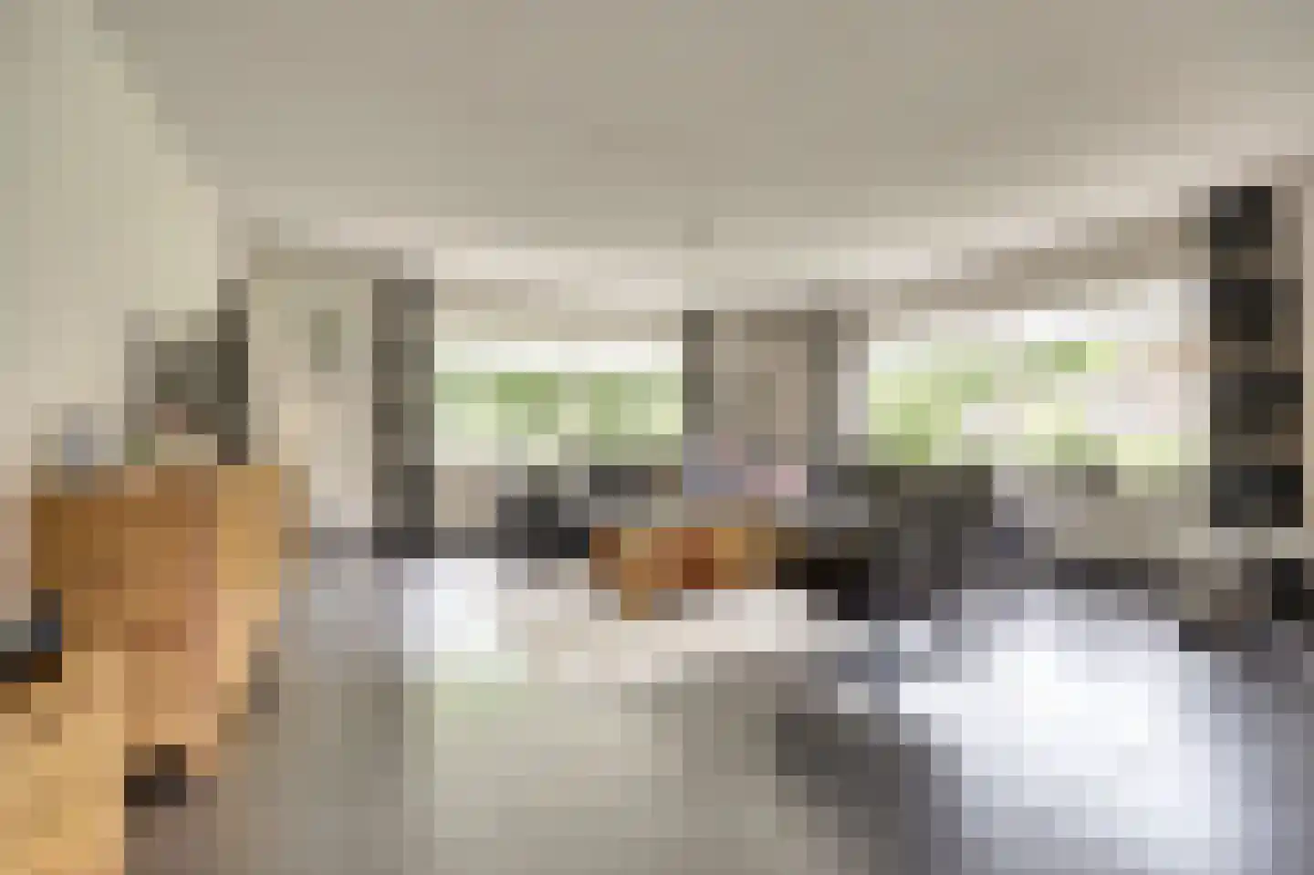 Zwanebloem 62 Swifterbant thumbnail 7