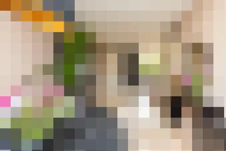 Zwanebloem 7 Alblasserdam thumbnail 11