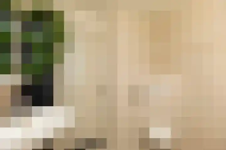 Zwanebloem 7 Alblasserdam thumbnail 17