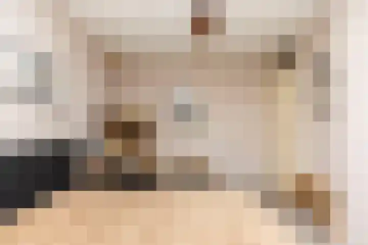 Zwanebloem 7 Alblasserdam thumbnail 21