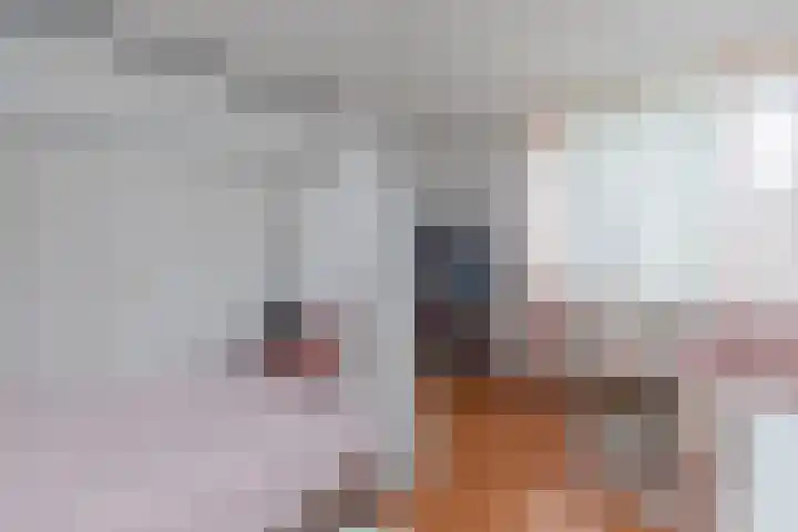Zwanebloem 7 Alblasserdam thumbnail 22