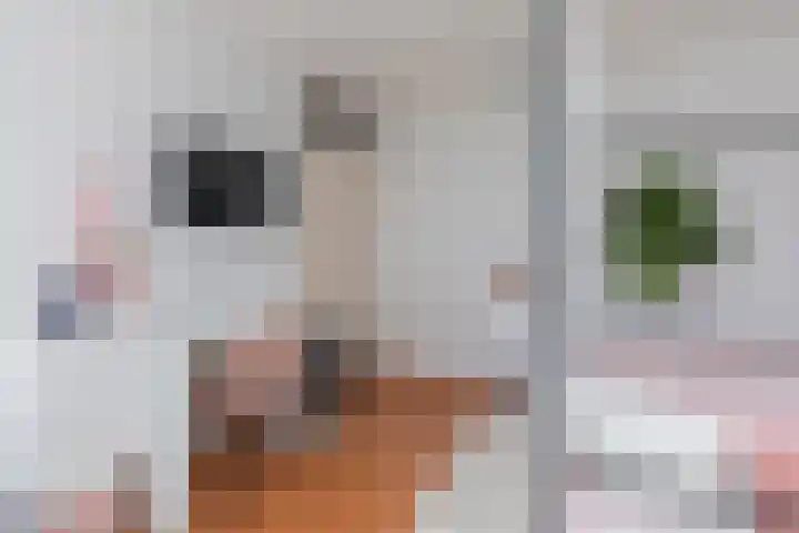 Zwanebloem 7 Alblasserdam thumbnail 26