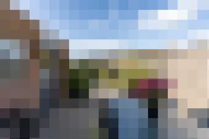 Zwanebloem 7 Alblasserdam thumbnail 33